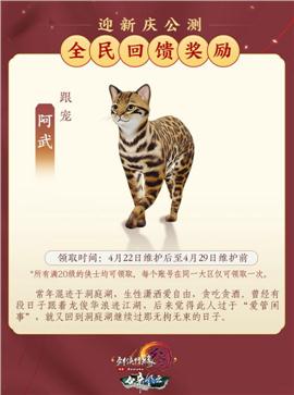 天龙八部私服极品变色